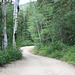 IMG 7186