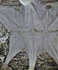 dittisham church, devon, c16 porch vaulting