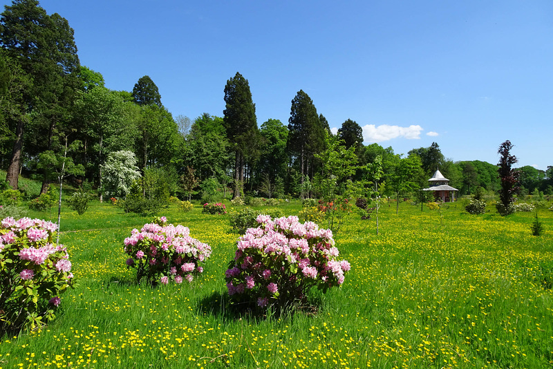 Dumfries House Gardens