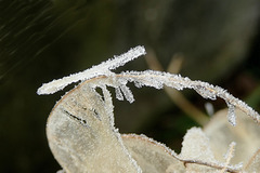 Petits cristaux de Dame nature !