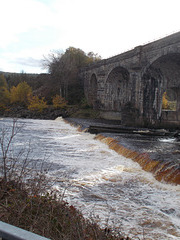 wst[25] - watching for fish {2 of 4}