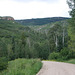 IMG 7187