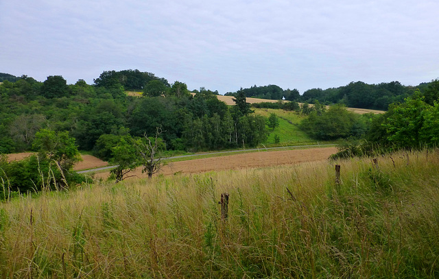 Oberhalb von Bad Neuenahr