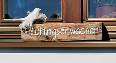 Frühlingserwachen Frühlingserwachen