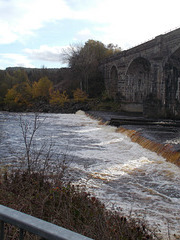 wst[25] - watching for fish {3 of 4}