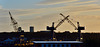 Cranes on The Tyne