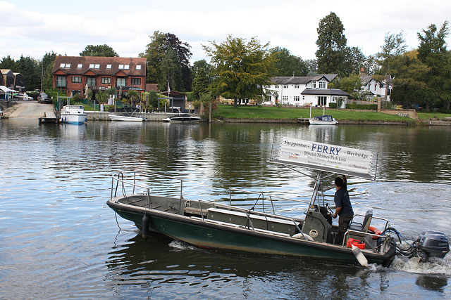 The Shepperton ferry