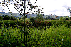 North Wiltshire Hills