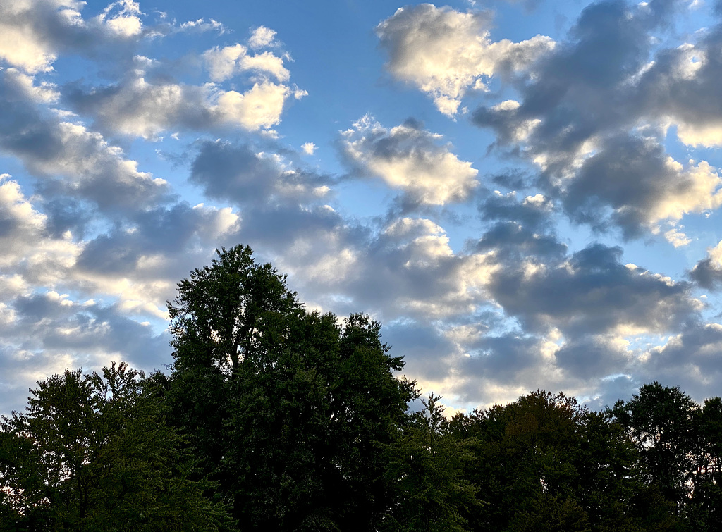 Wolken früh morgens