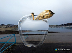 Composition avec pip caméra et une photo prise derrière la piscine du Naye , à Saint Malo , où je me suis fait vacciner