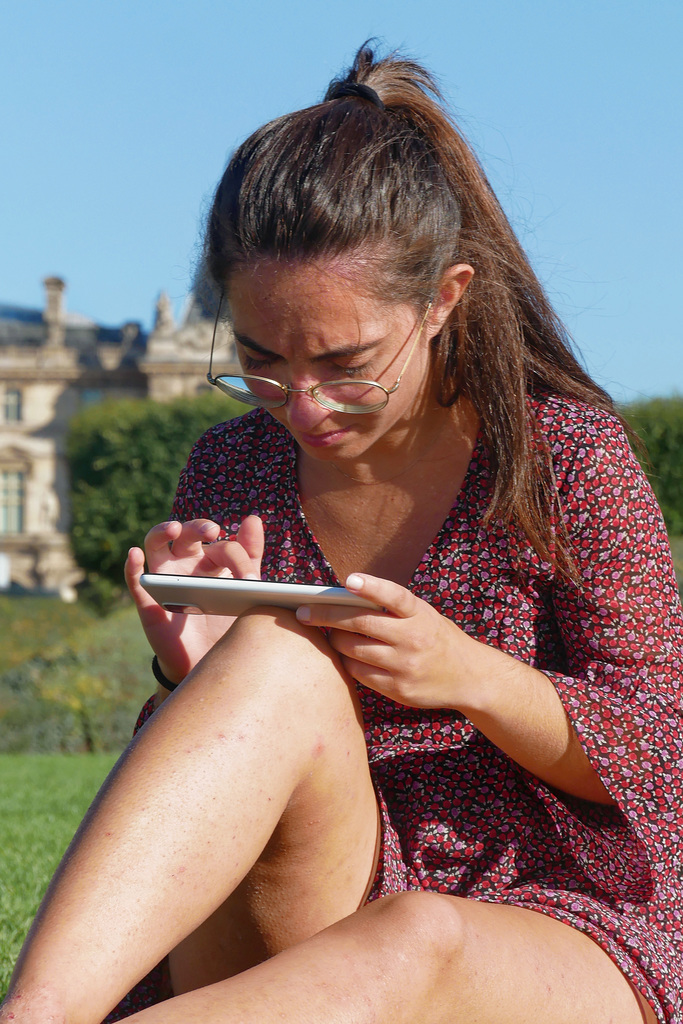 Nouvelle statue de Maillol aux Tuileries ?