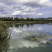 im Giwiggsenriet am Pfäffikersee (© Buelipix)