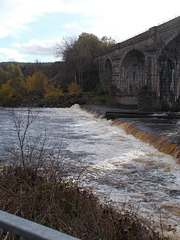 wst[25] - watching for fish {4 of 4}