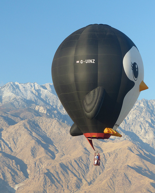 Cathedral City Balloon Festival (68) - 22 November 2019