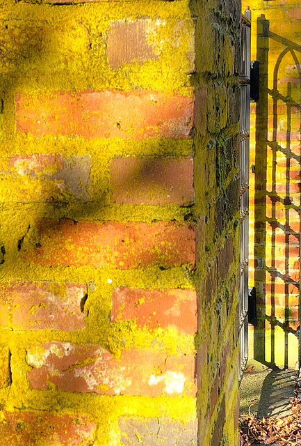 Winter Wall 1