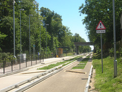 Cambridgeshire Guided Busway - 26 Jun 2011