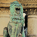 Löwe 3 am Heinrichsbrunnen