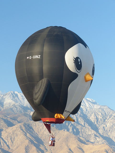 Cathedral City Balloon Festival (69) - 22 November 2019