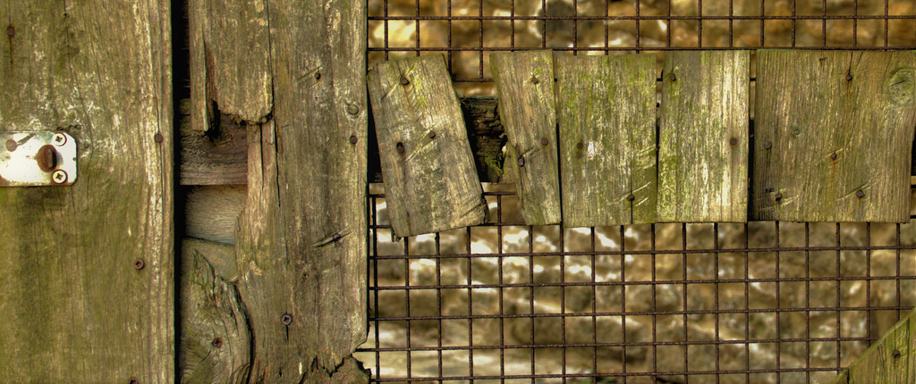 A Bit Of Wood. A Bit Of Rust