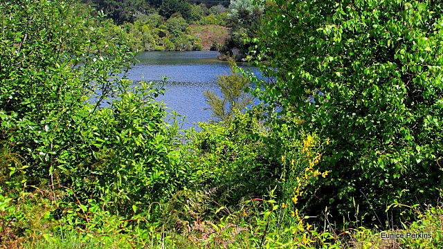 Water And Greenery..