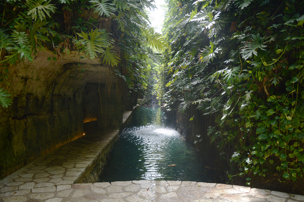 Mexico, Western Access to the Cenotes of Hacienda Mucuyche