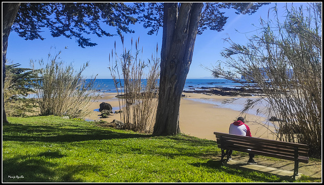 Playa de Trengandin (Noja)    -    hBM