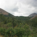 IMG 7191