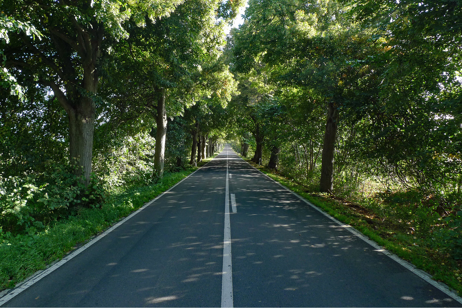 Germany - Rügen, Deutsche Alleenstraße