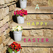 Happy Easter to all!