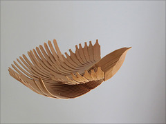 wooden bird (pip)