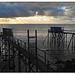 330 Les Carrelets de Port des Barques 17