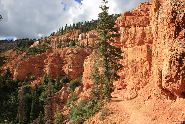 Trail to Cascade Falls