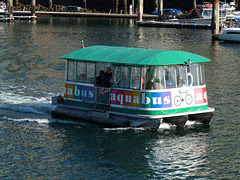 Aquabus in False Creek