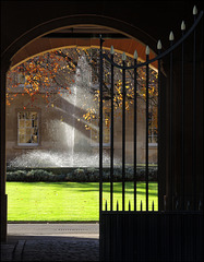 "Three Coins in the Fountain"