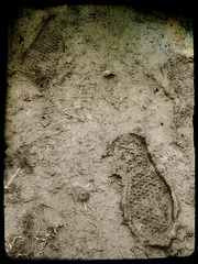 16SH Footprints