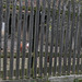 fence hen fence hen fence hence fence fancy hency hen fan (HFF!)