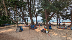 Arbres et plage / Beach and trees
