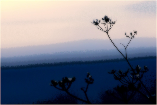 La ligne bleue..... du terril