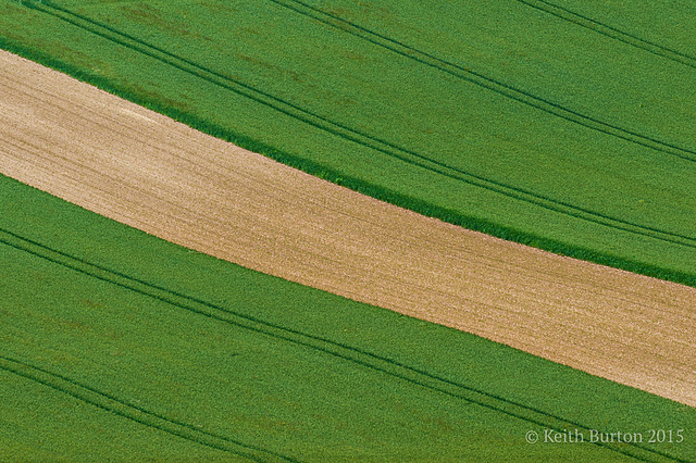 Abstract fields.