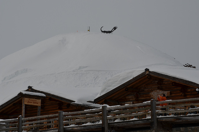 Silvretta Montafon, The Black Scorpion at the Top