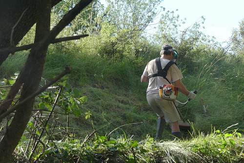 20170602 -05 Cesame travaux gite La Combe (96) al