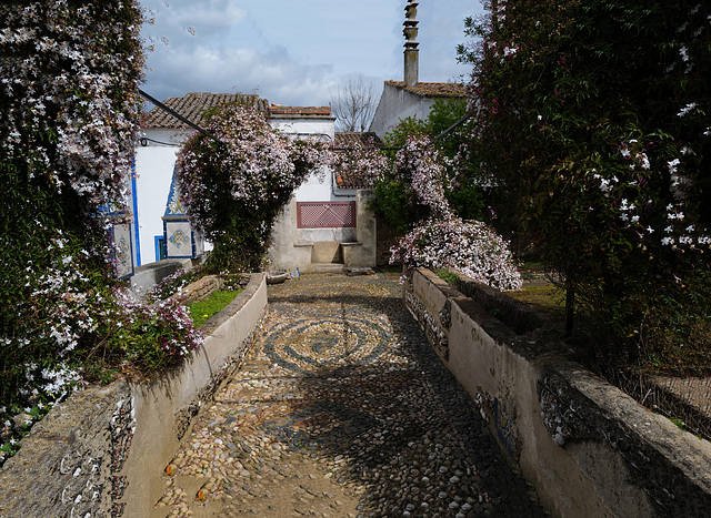 Alcáçovas, Jardim das Conchas, HFF