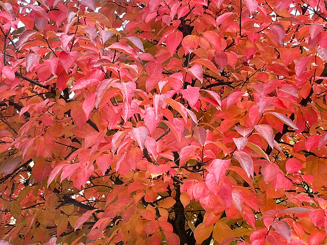 Herbst ist auch schön