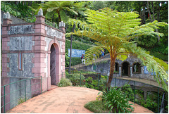 Madère parc botanique
