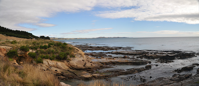 New Zealand / Shag Point