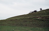 0785 Blewburton Hill 1984 (2)