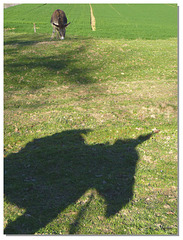 29 L'ombre du photographe... lol