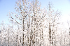 overexposure study overexposure study