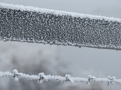 Hoar frost everywhere you look