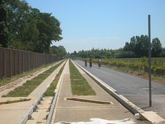 Cambridgeshire Guided Busway - 26 Jun 2011